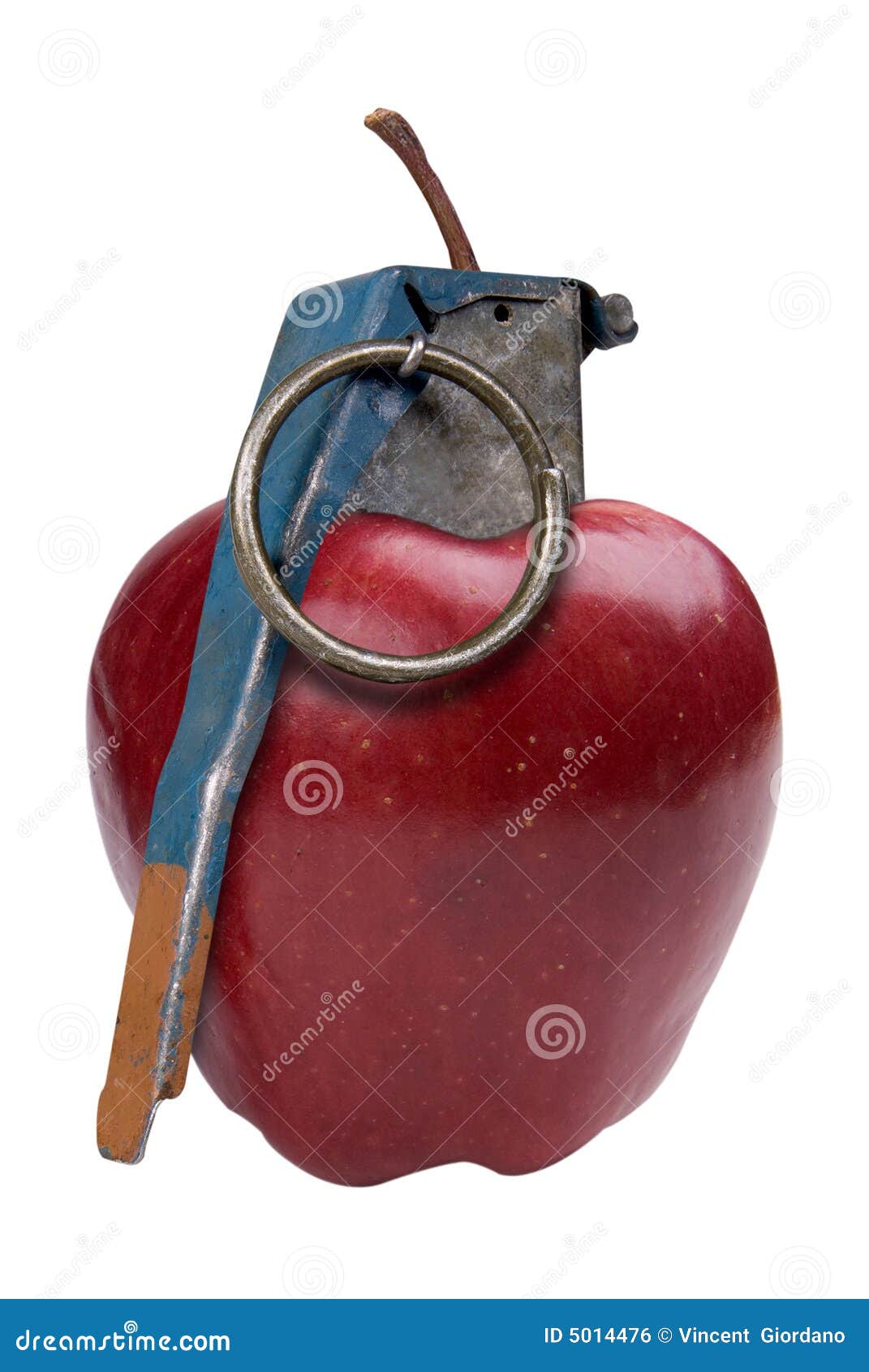 Apple Grenade stock photo. Image of fight, diet, metal 5014476