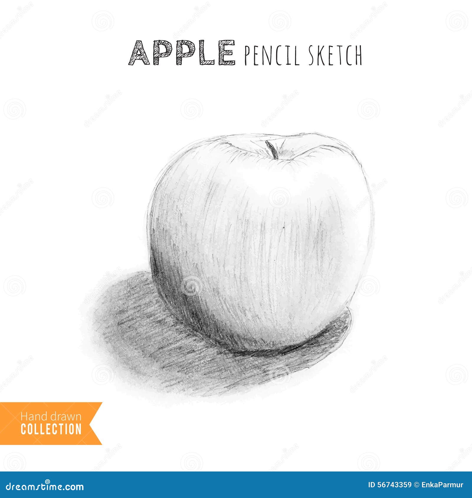 Cute Apple Pencil Sketch Drawing for Adult