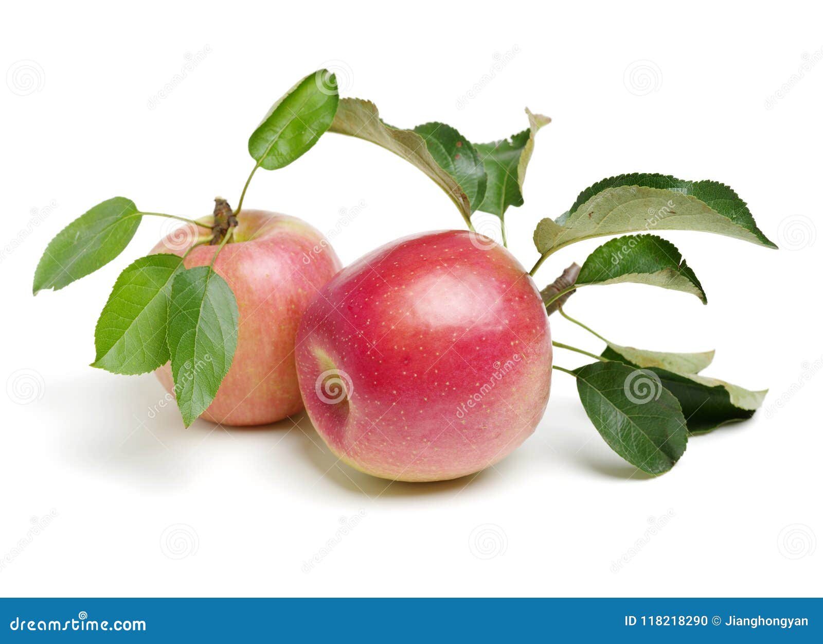 Apple with leaves stock photo. Image of edible, food 118218290