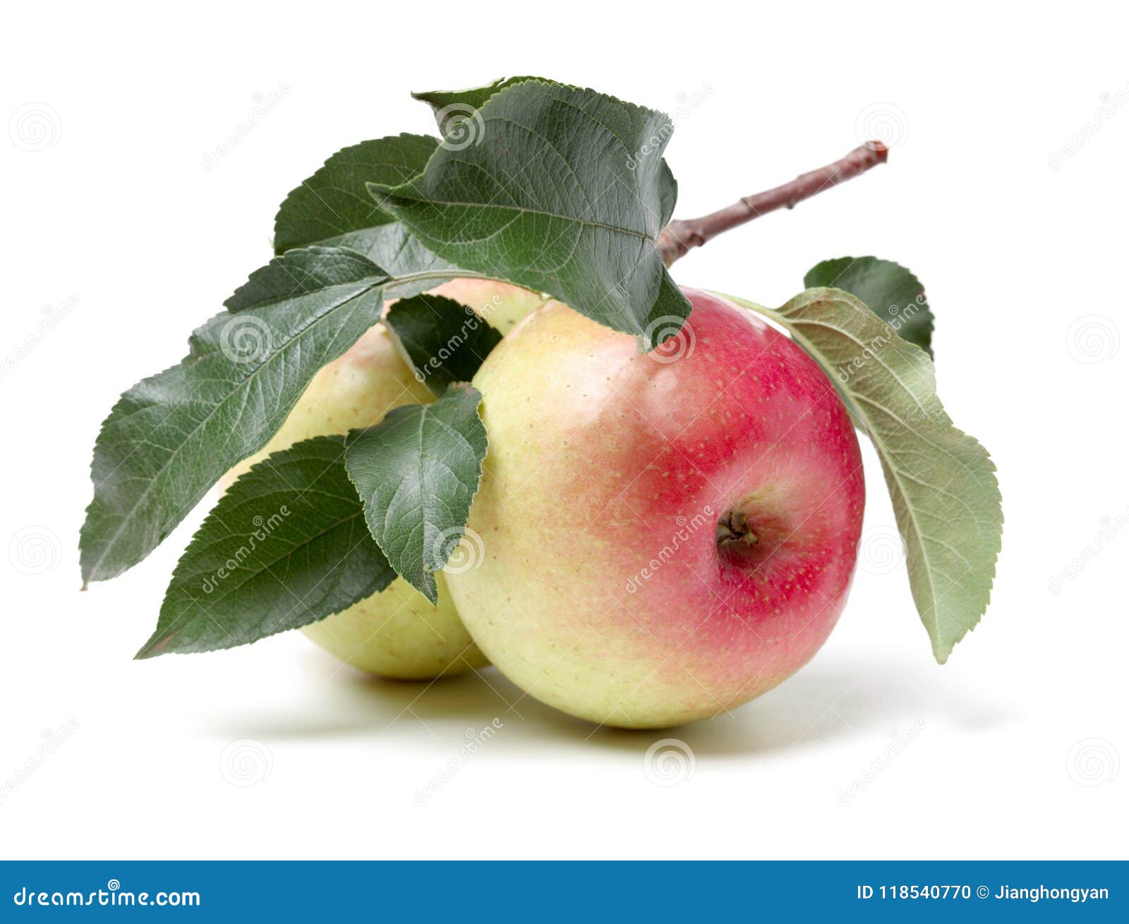 Apple with leaves stock photo. Image of eatable, isolated 118540770