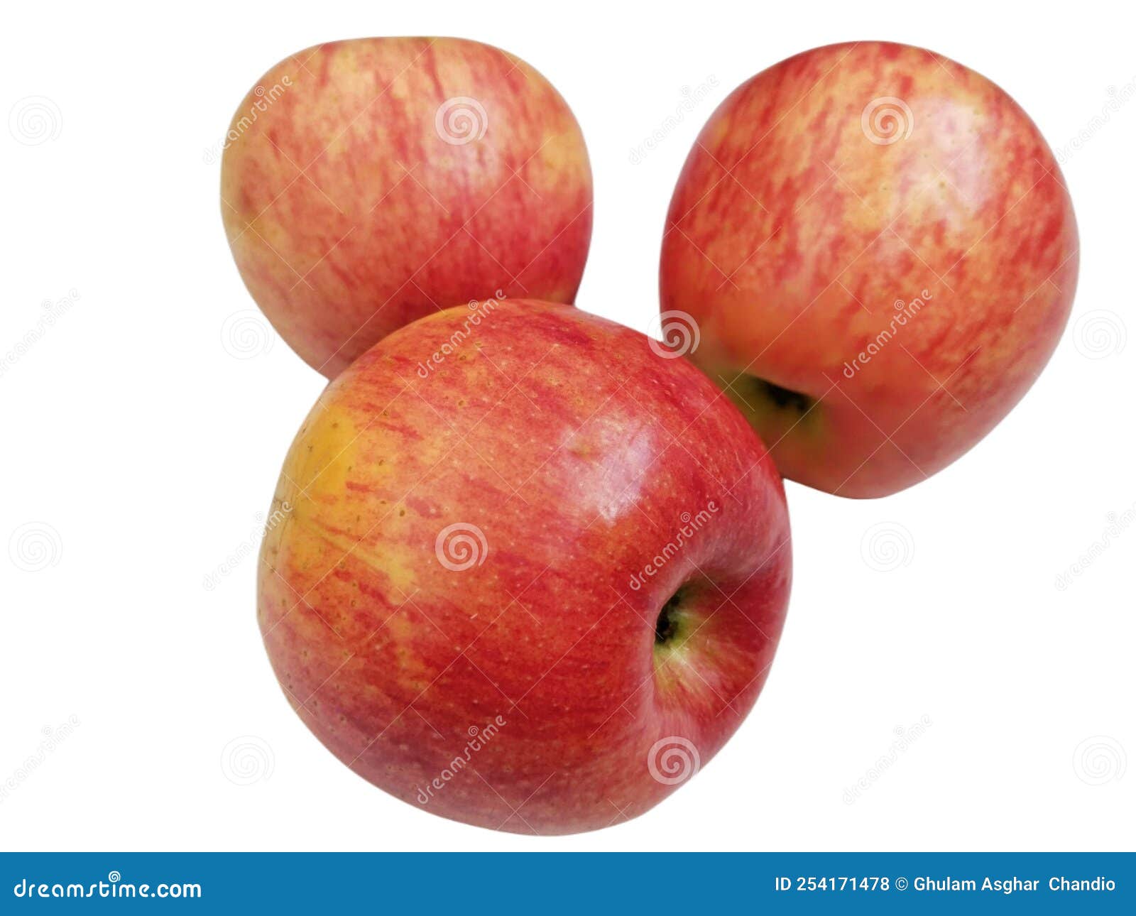 apple, malus domestica, seb, apel, apfel, manzana, la pomme, tafaha, yabloko, ringo no mi