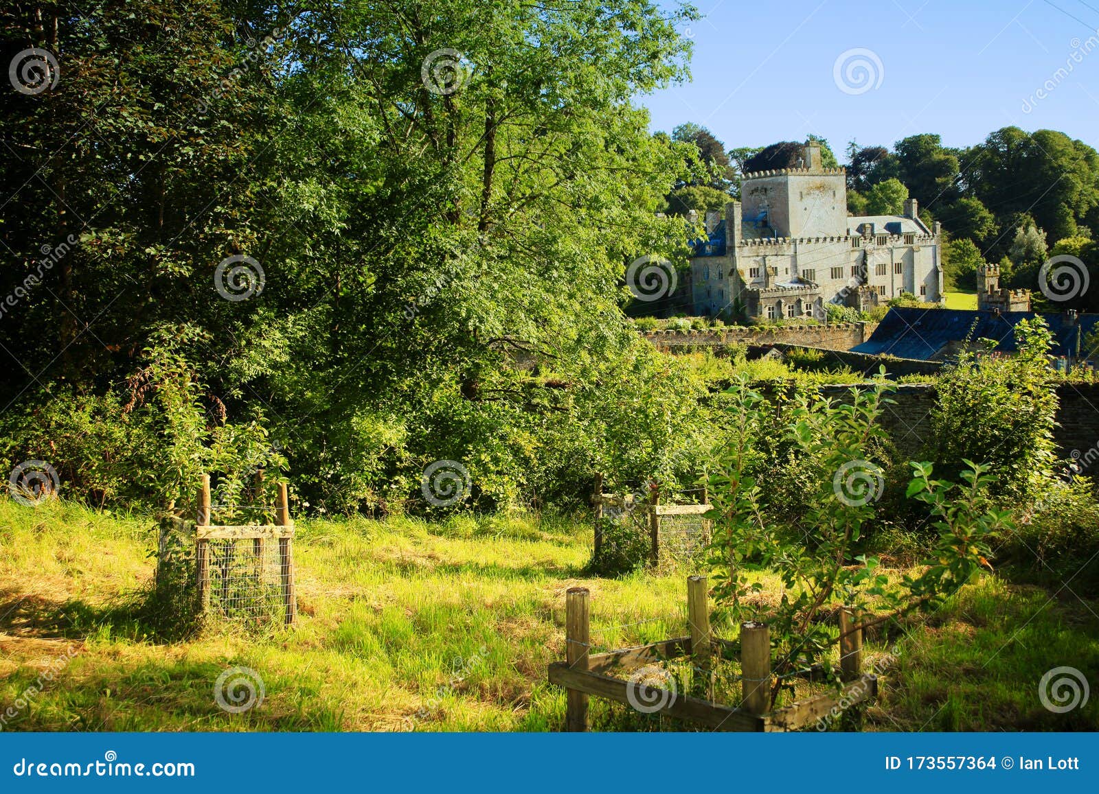 Apple Orchards of Buckland Abbey, Devon Editorial Stock Image Image