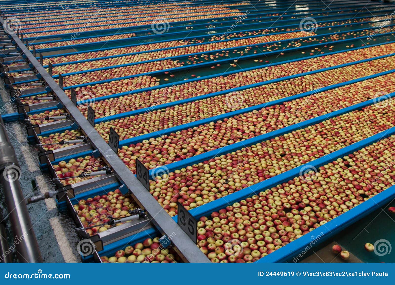 Apple production stock image. Image of factory, apples 24449619