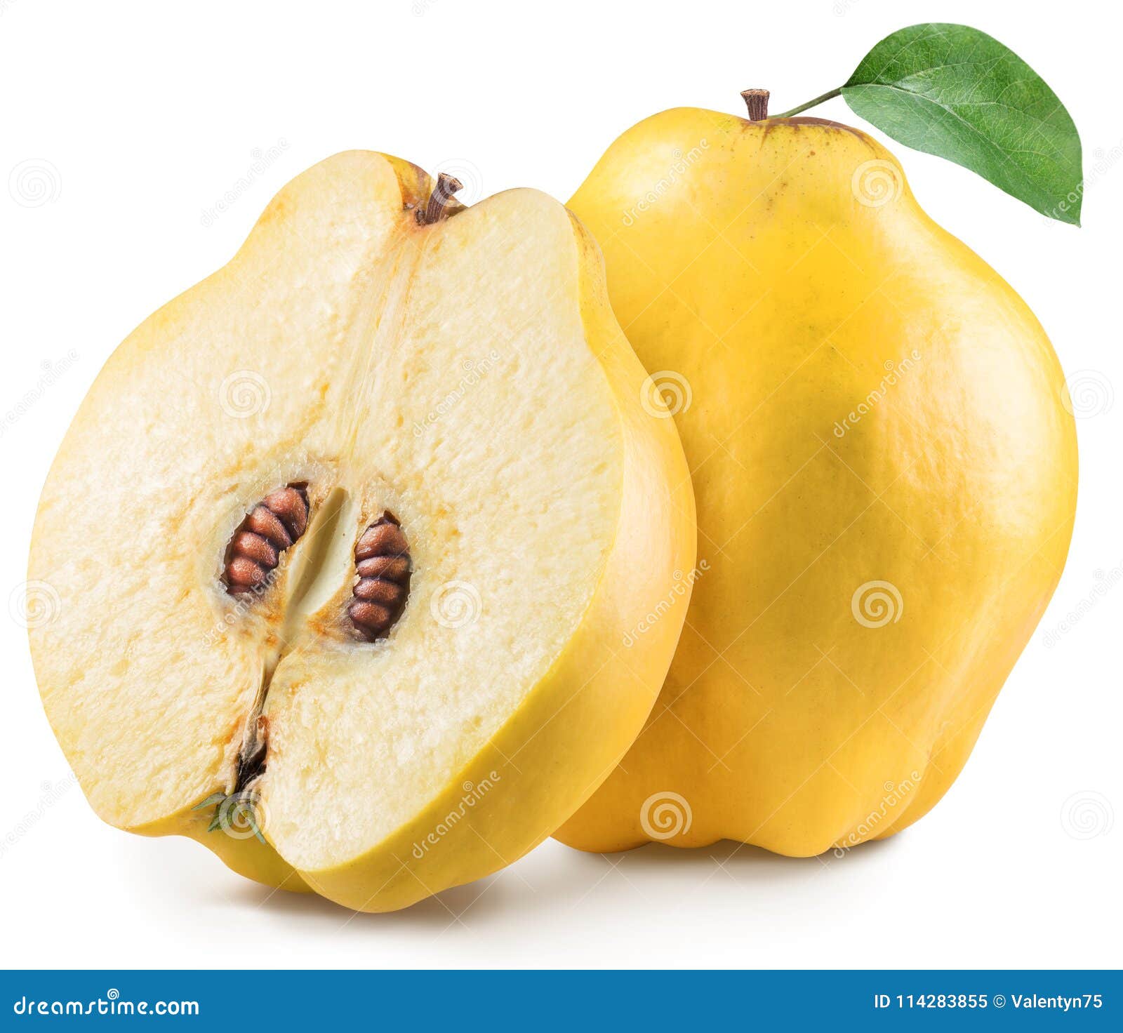 apple-quince with leaf. file contains clipping path.