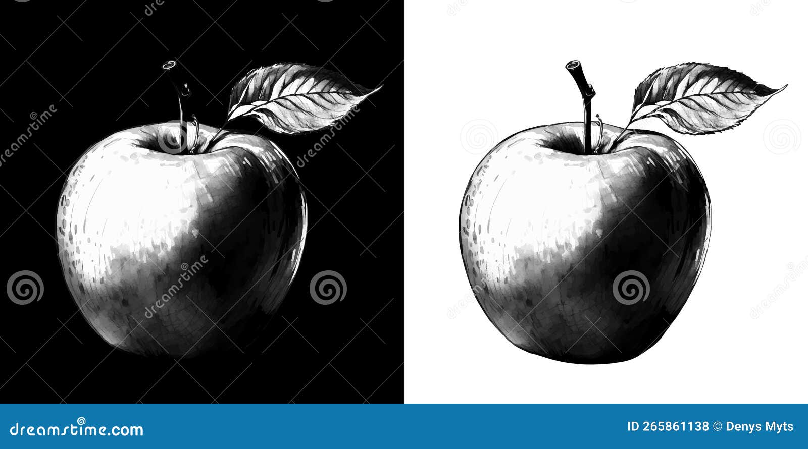 Apple Pencil Illustrations. Apple Pencil Sketch Style on Black and White Background, Vector