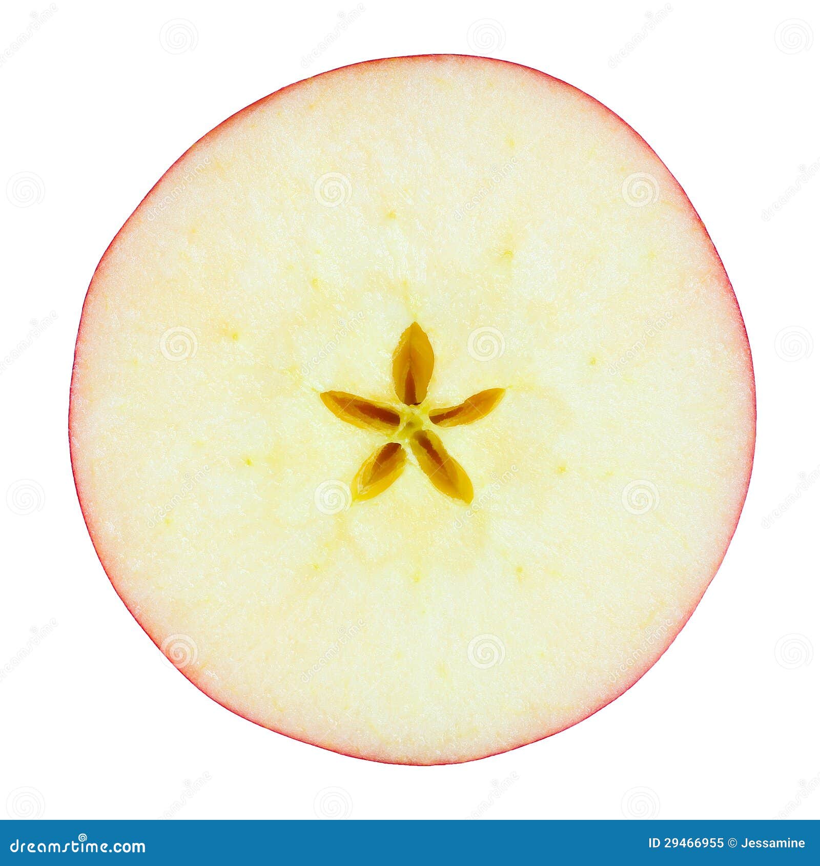 Apple slice stock image. Image of apple, circle, isolated - 29466955