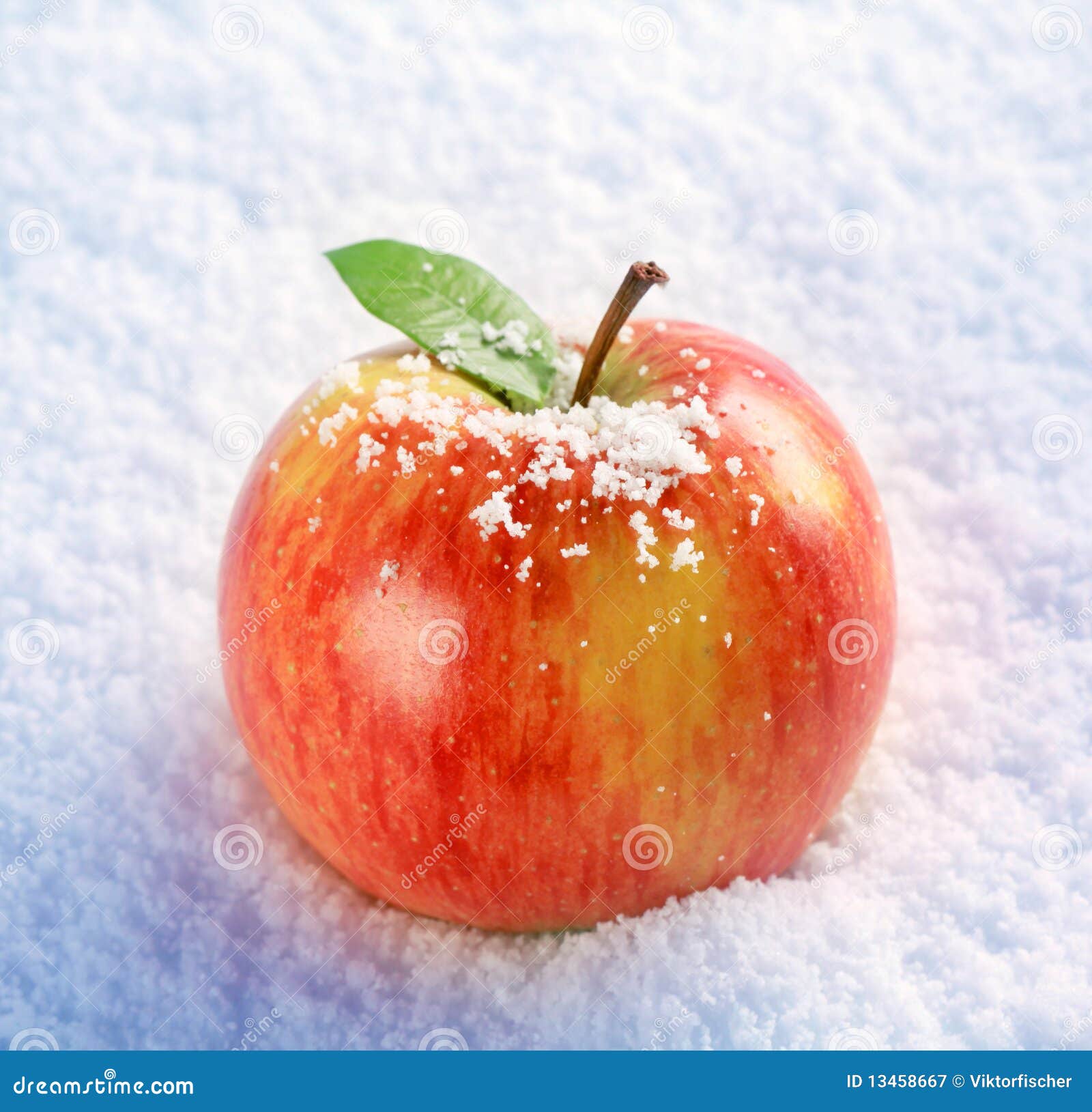 Apple in snow stock image. Image of winter, leaf, fresh - 13458667