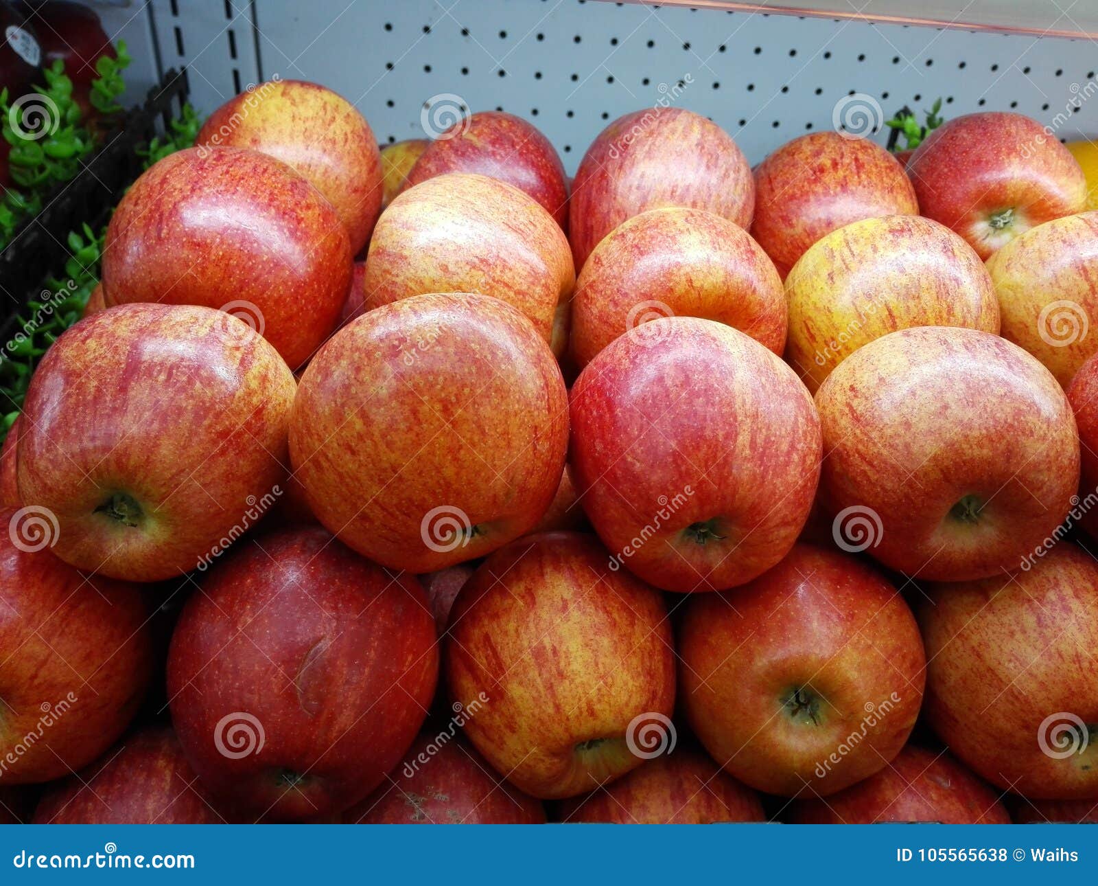 Apple is Sold at the Supermarket Fruit Counter Stock Photo Image of
