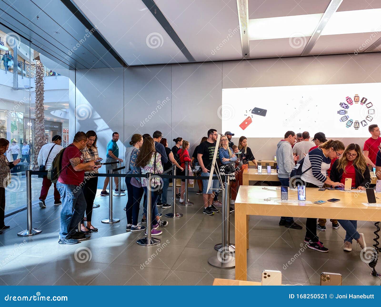 Apple Millenia - Apple Store- Millenia Mall Orlando, FL