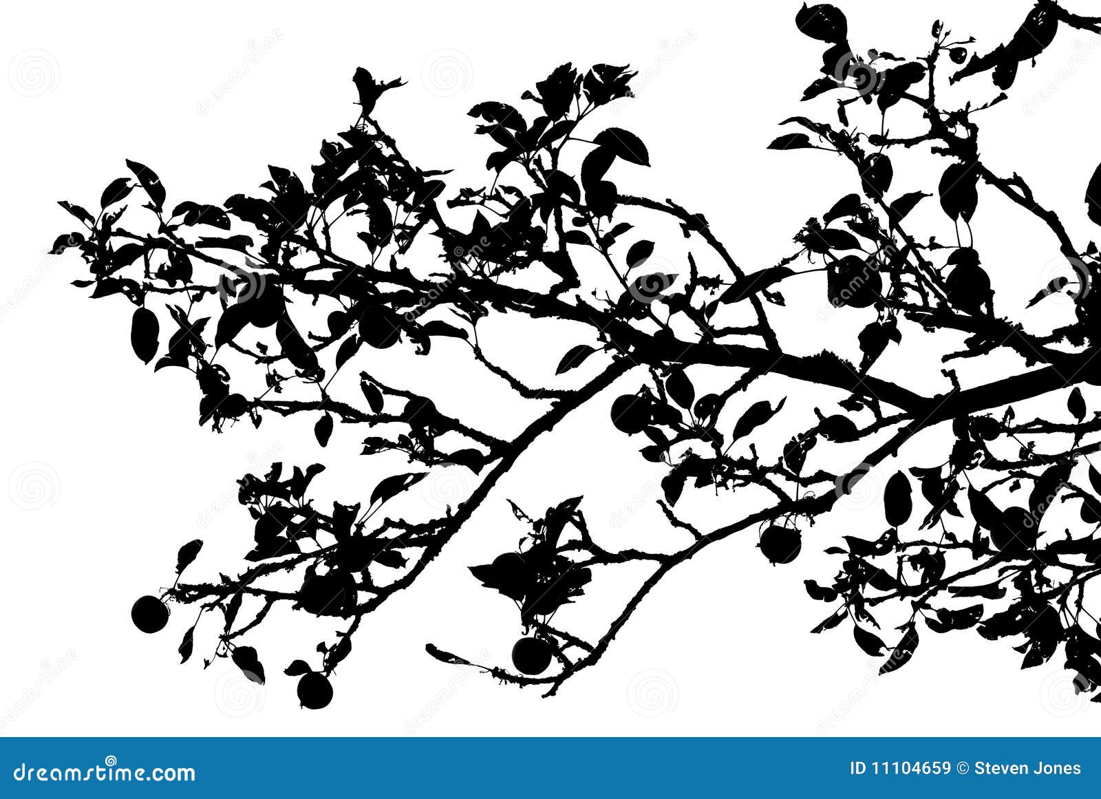 Apple Tree Branch Silhouette Stock Illustration Illustration Of Natural Plant