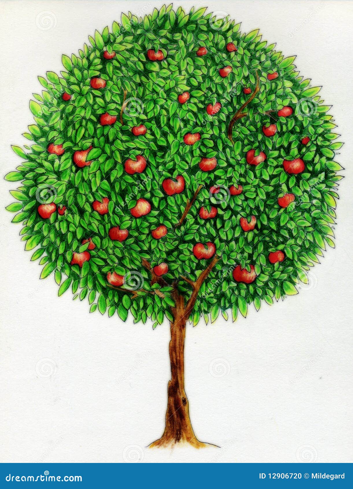 Apple tree drawing stock illustration. Illustration of circle ...