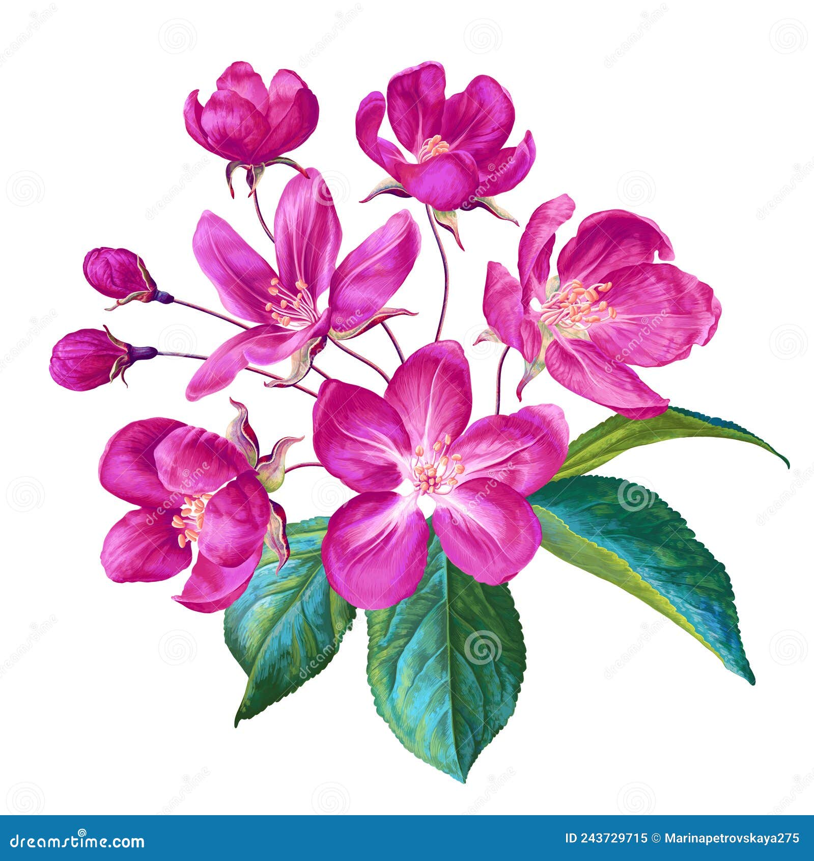 Realistic Fruit Tree Branch.Vector Branch with Pink Spring Apple Tree