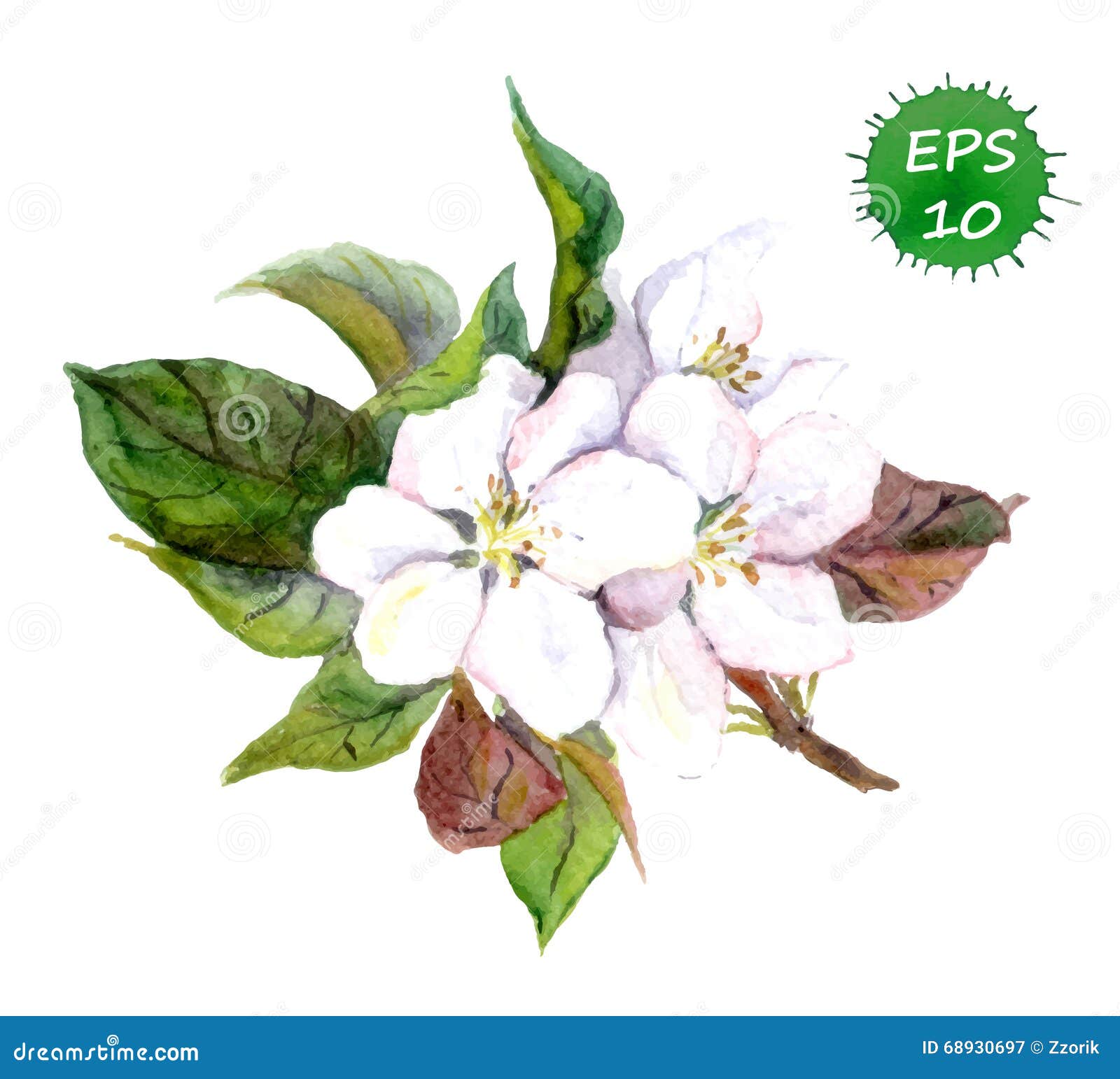 Apple tree flowers stock vector. Illustration of background 68930697