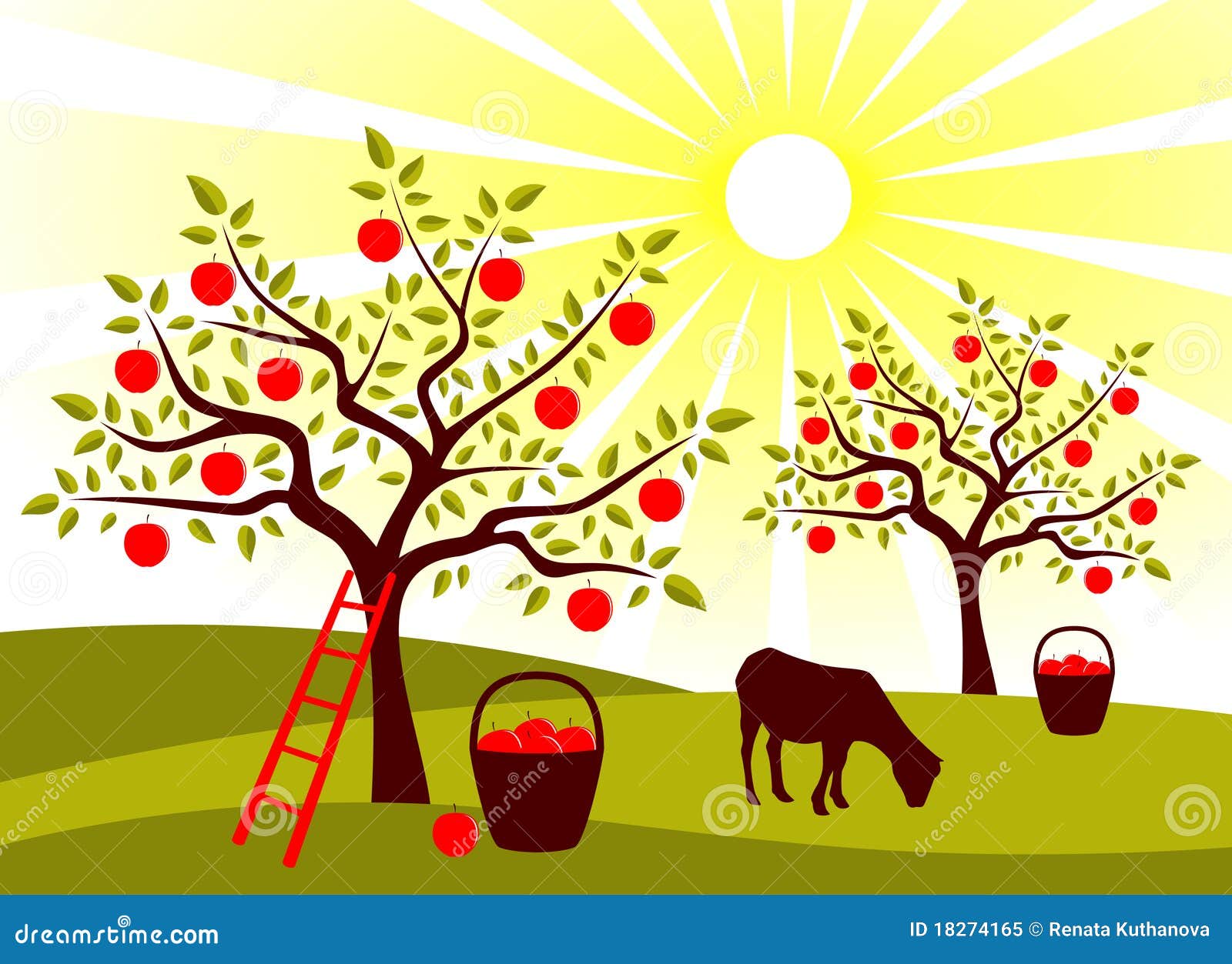 Apple Tree Orchard Cartoon Vector 18274165