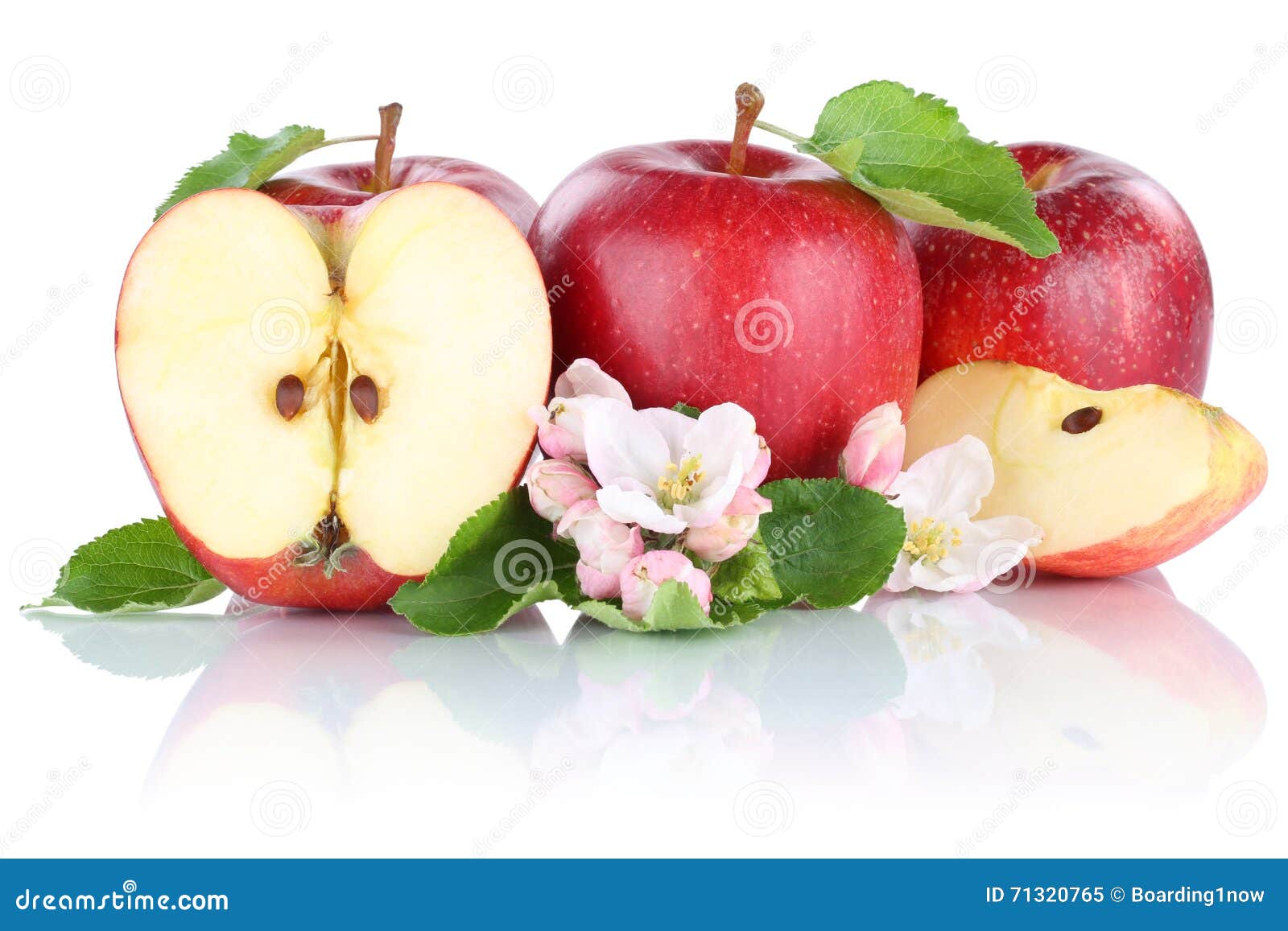 Apples Apple Red Fruit Fruits Slice Half Isolated on White Stock Image