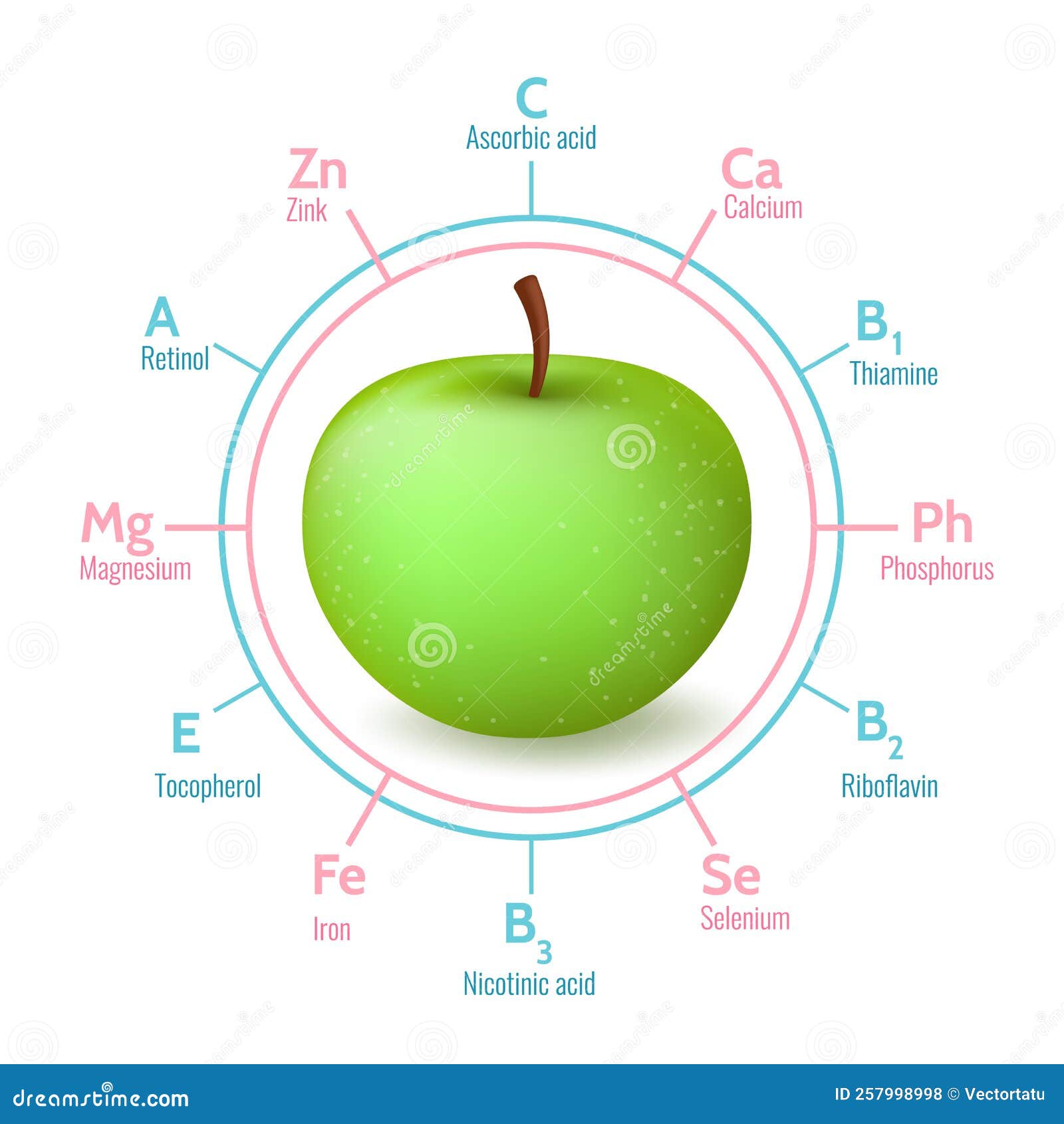 https://thumbs.dreamstime.com/z/apples-benefits-infographic-green-apple-fruit-benefit-infographics-facts-isolated-white-background-nutrients-medical-vitamin-257998998.jpg