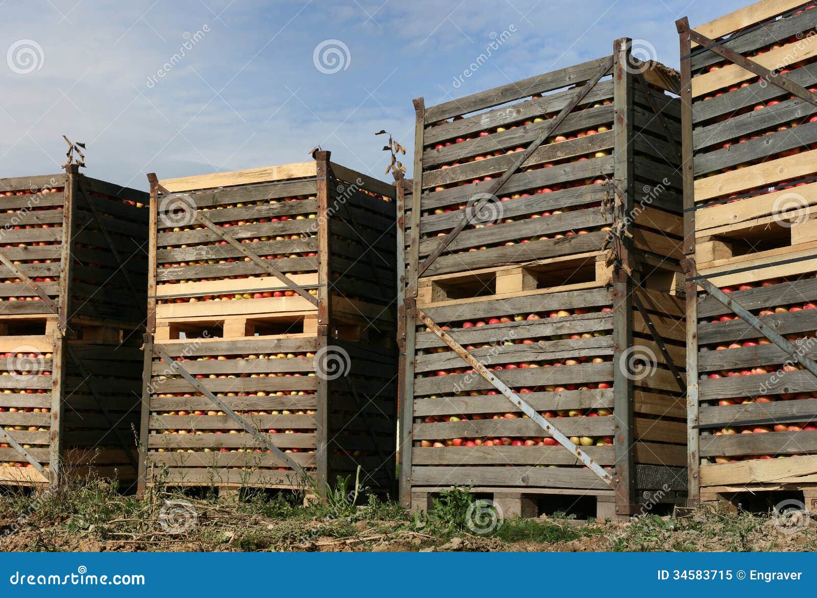 Apples container shipping stock image. Image of crate 34583715
