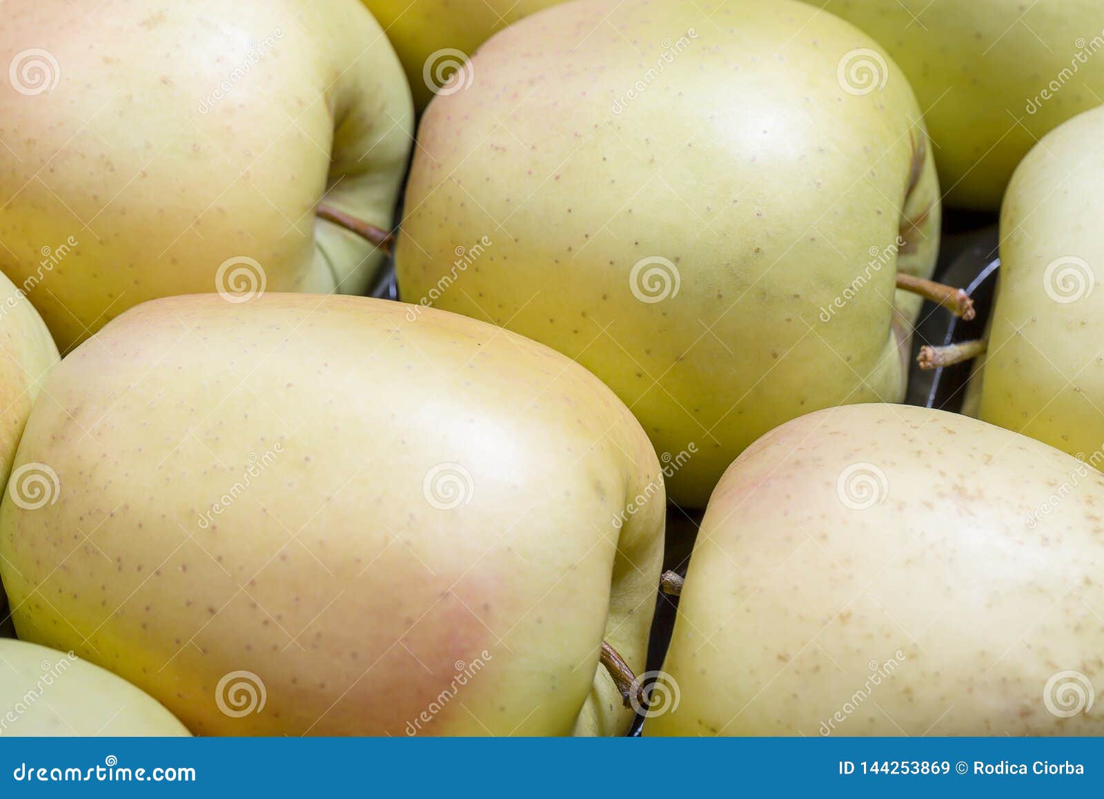 Raw Delicious Apples Golden With Skin Background Stock Image Image Of Fruit Fresh Raw Delicious Apples Golden With Skin Background Stock Image Image Of Fruit Fresh