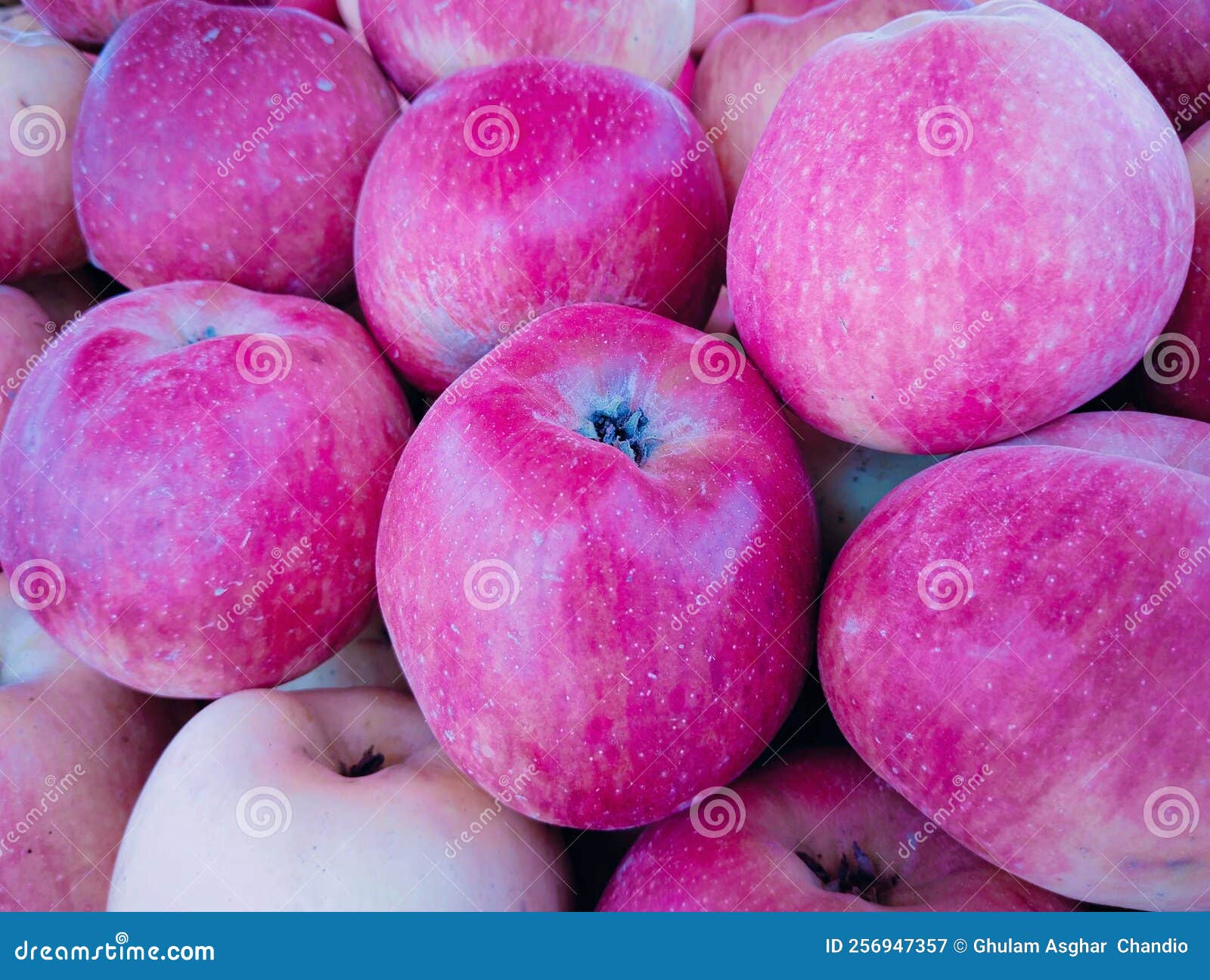 apples fruit, red malus domestica, seb, apel, apfel, manzana, la pomme, tafaha, yabloko, ringo no mi, la mela closeup view image