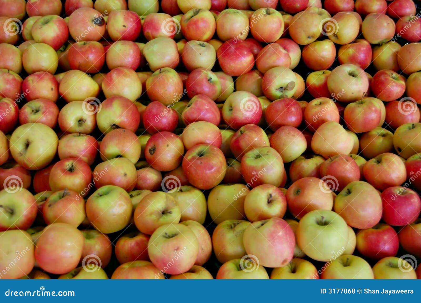 Apples for sale stock photo. Image of jonathan, jonathon 3177068