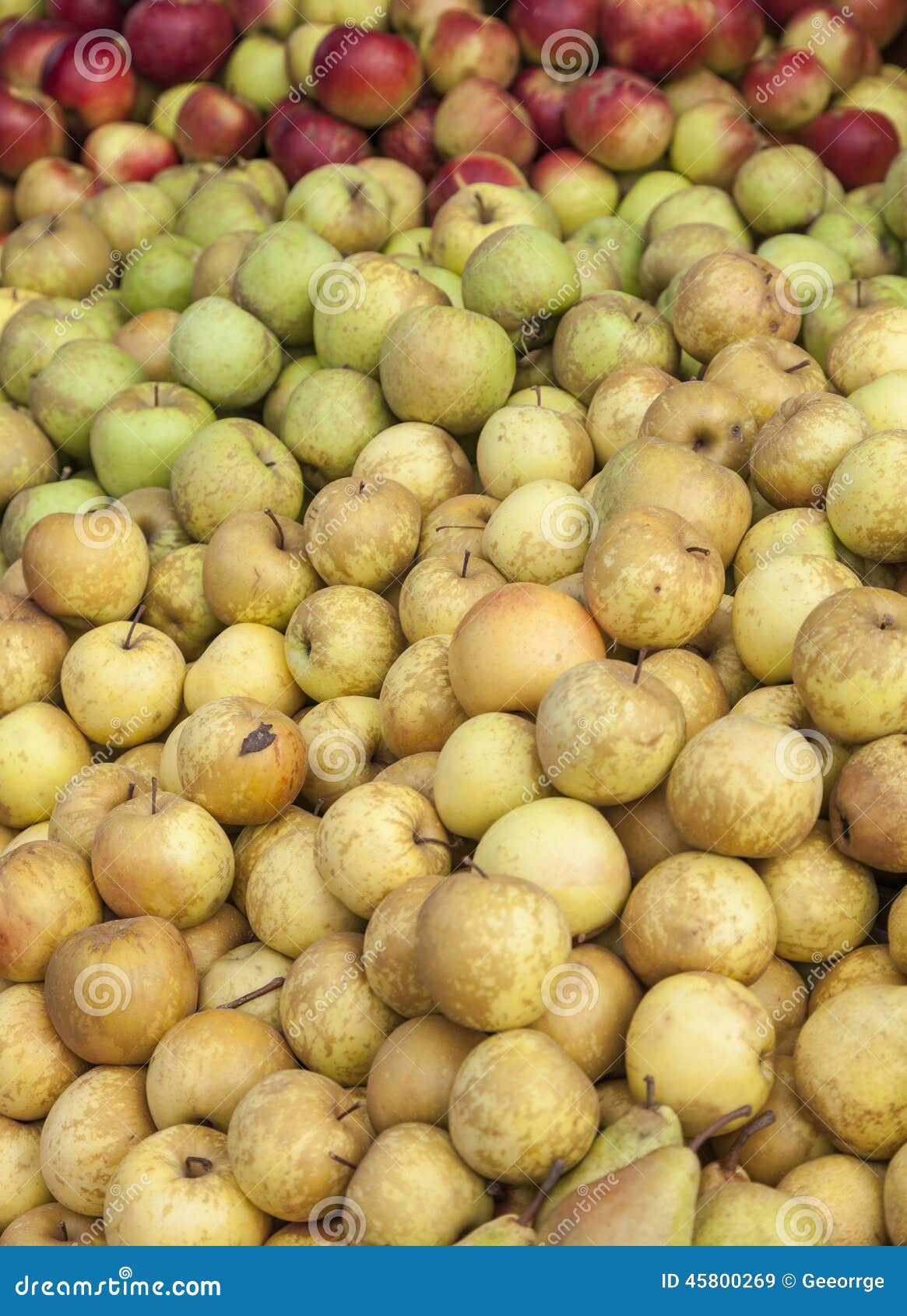 Apples for Sale in a Grocery Stock Image Image of harvesting, large
