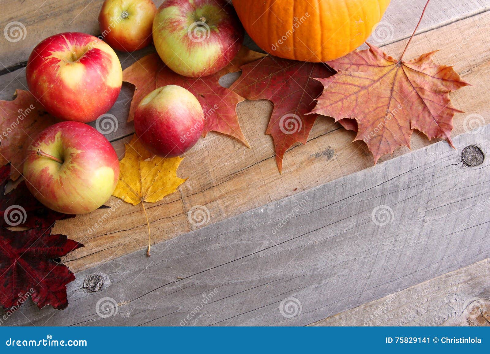 Apples and Sugar Maple Leaves Bordering Rustic Wood Background Stock