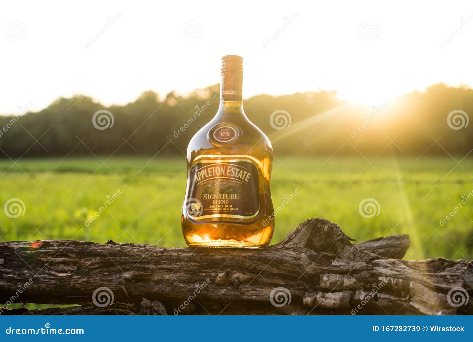 6 Stück  Appleton Estate Jamaica Rum Becher Neu siehe Fotos 