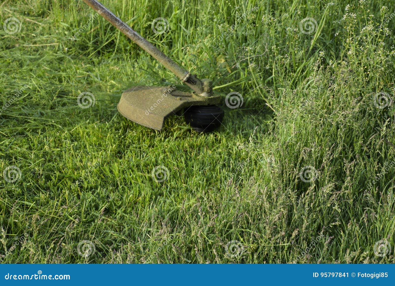 Application Trimmers. Mowing Green Grass Using a Fishing Line Trimmer Stock Image Image of
