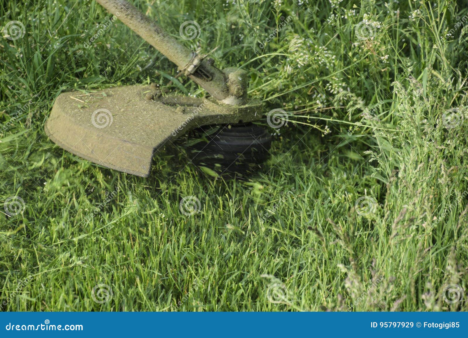 Application Trimmers. Mowing Green Grass Using a Fishing Line Trimmer