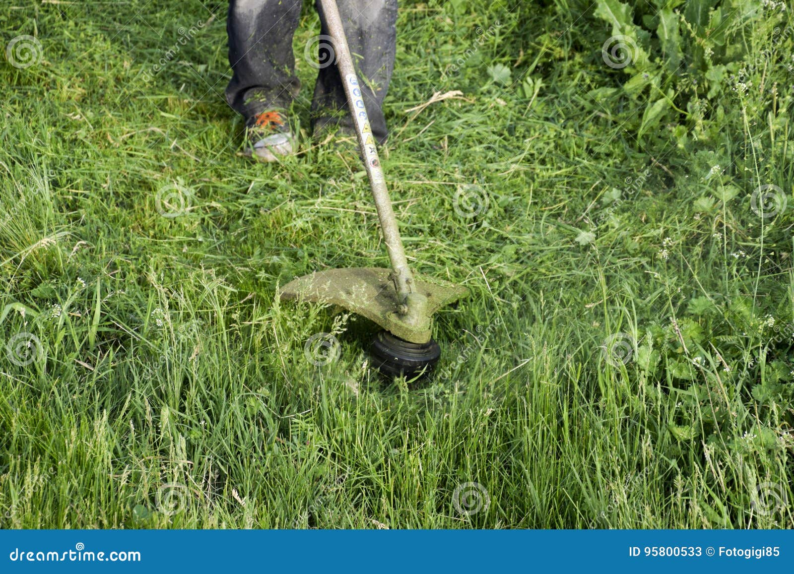 Application Trimmers. Mowing Green Grass Using a Fishing Line Trimmer