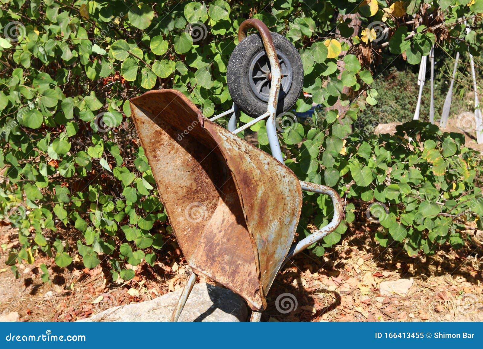 Application of Wheels in Engineering and Nature Stock Image Image of