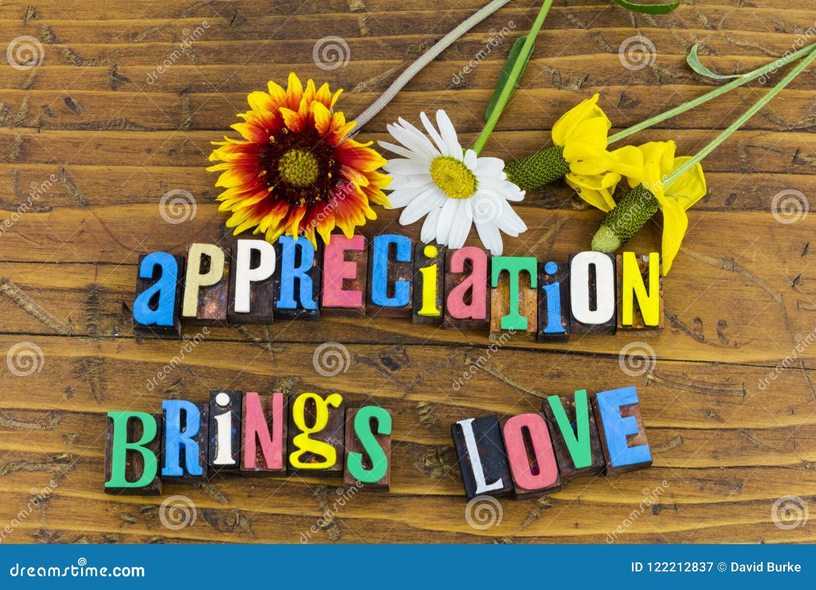 appreciation nature gratitude caring romance love flowers relationship