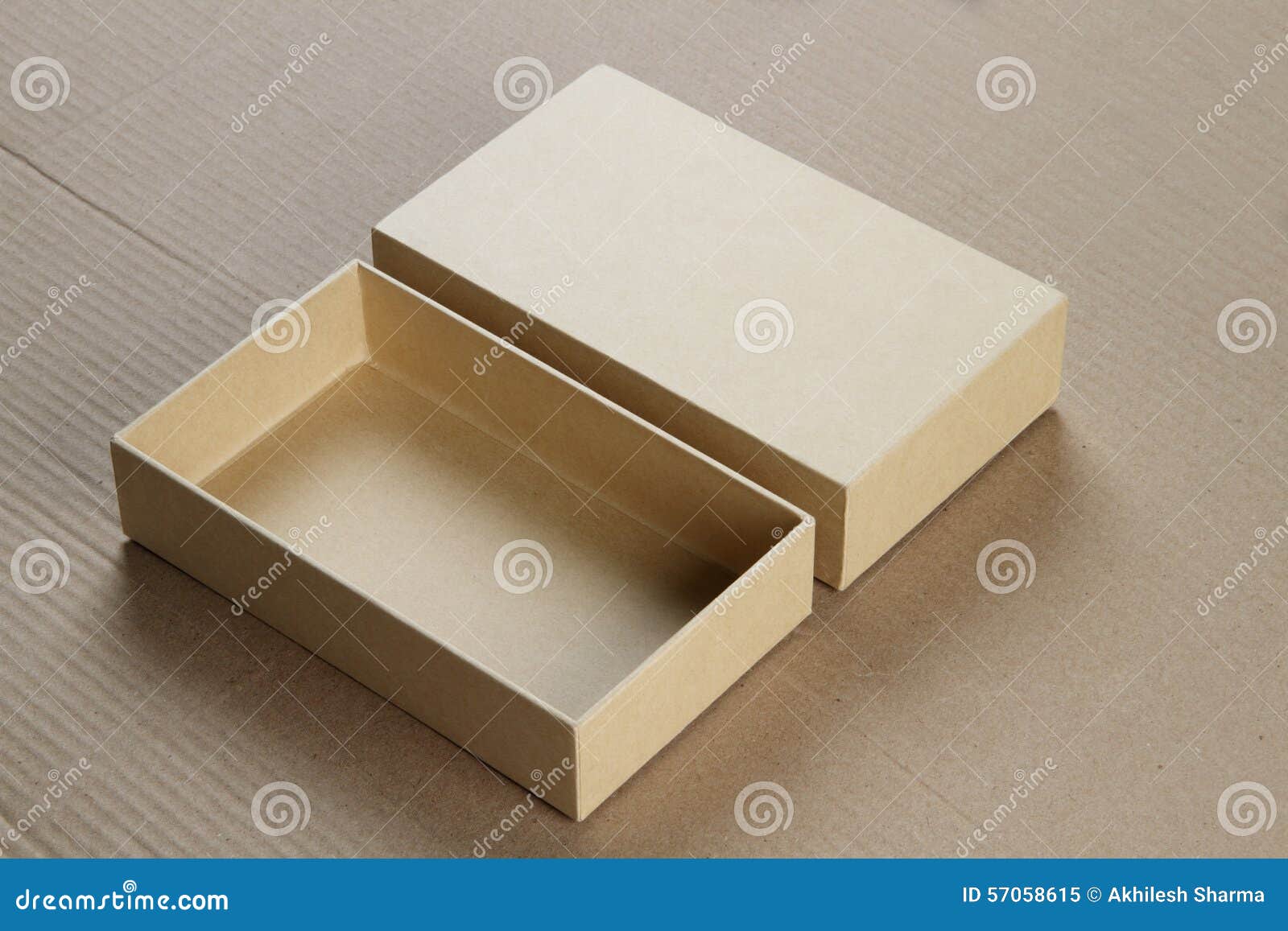 Apra la scatola di cartone in bianco per il modello. Apra la scatola in bianco del cartongesso per il modello