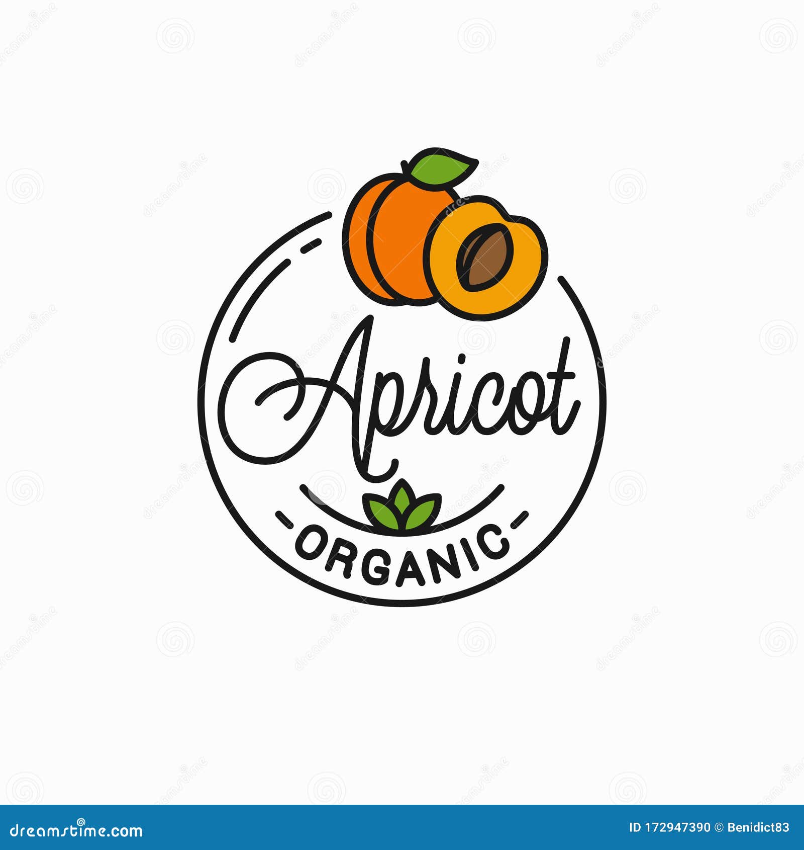 apricot fruit logo. round linear of apricot slice