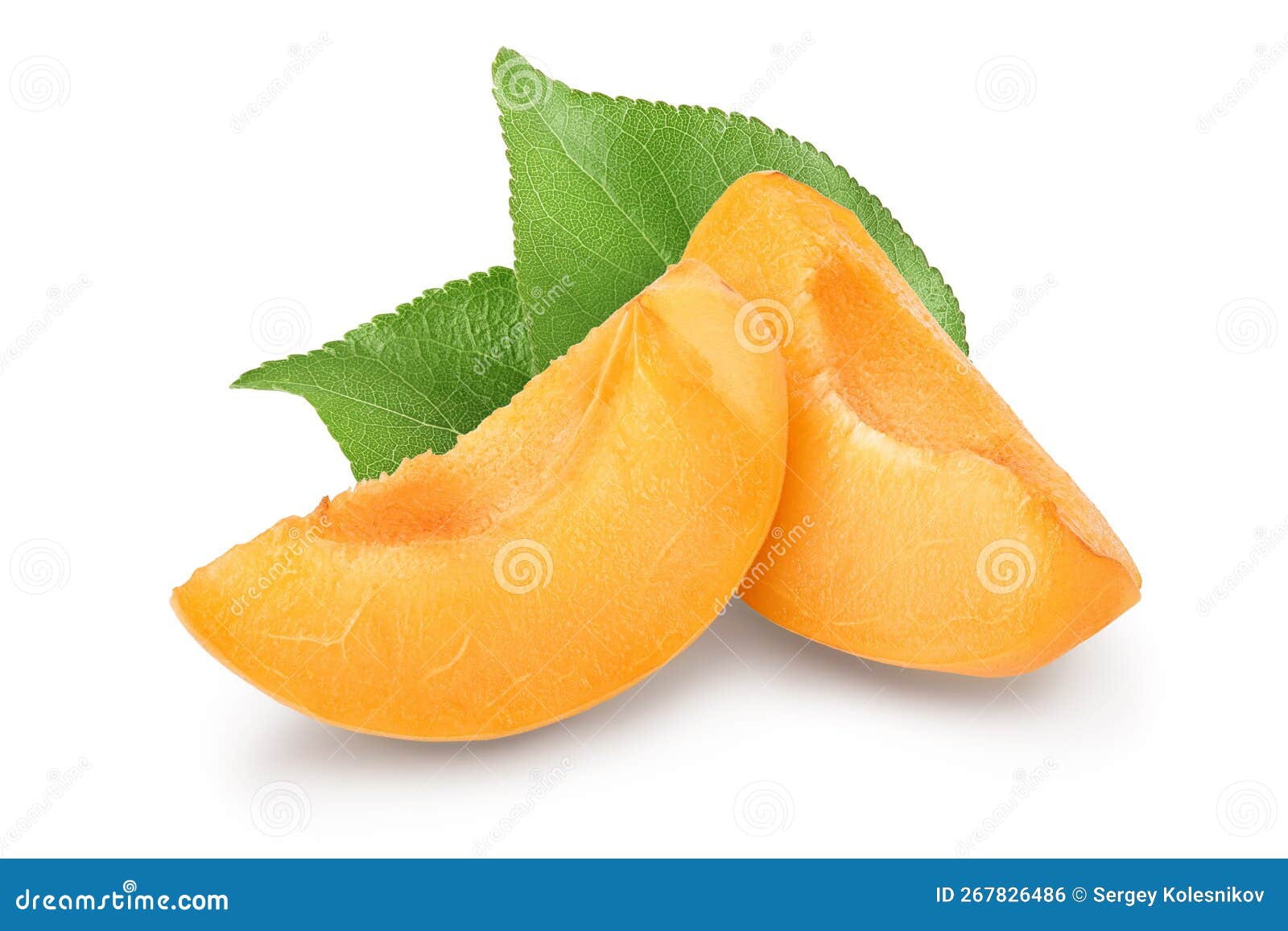 Apricot Fruit Slices Isolated on White Background. Clipping Path and