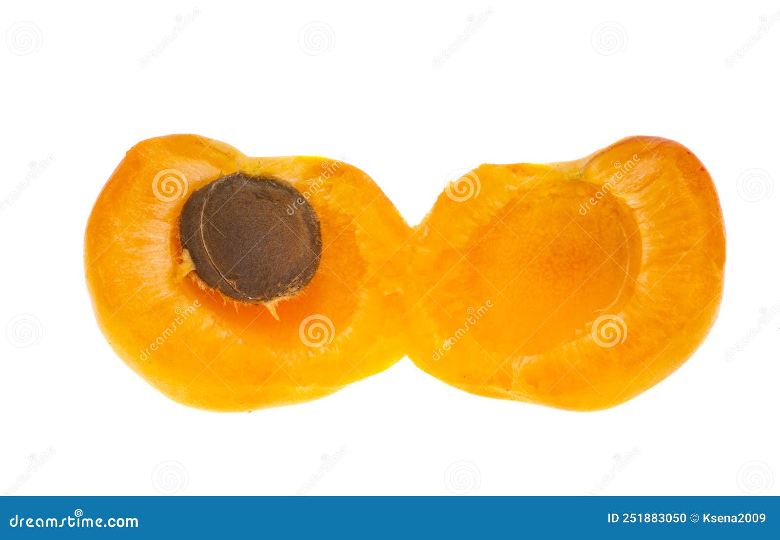 Apricot fruits isolated stock photo. Image of healthy 251883050