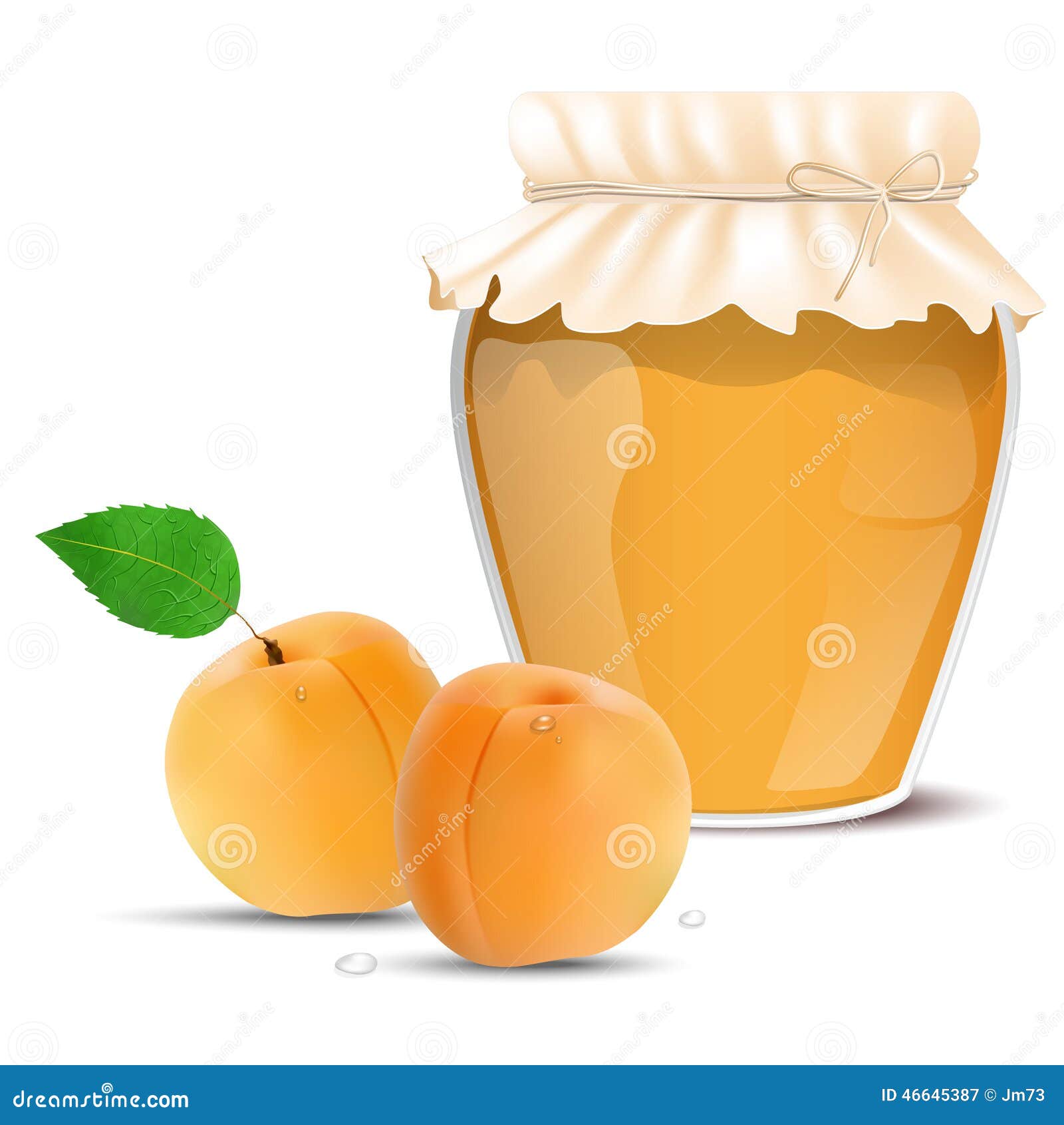 Apricot Jam In A Jar And Fresh Apricots Stock Vector - Illustration of breakfast, traditional ...