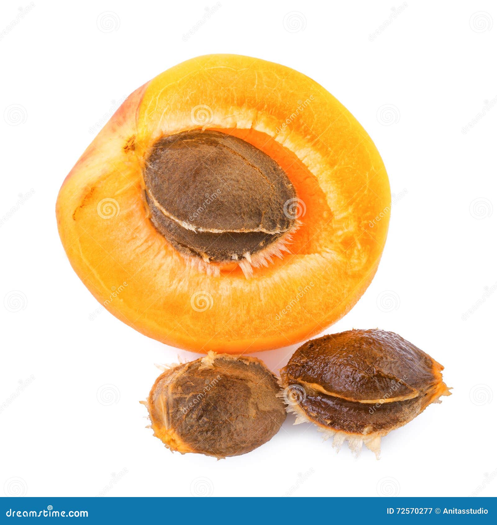 Apricot Kernels with Fruit on White Background Stock Image Image of