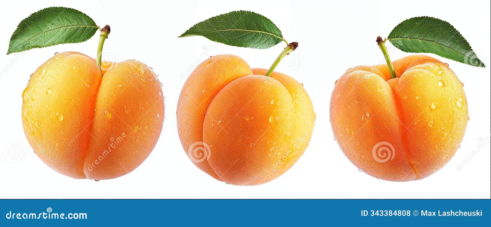 apricot with leaf and water drops  on white background, hight detailed upscaled image
