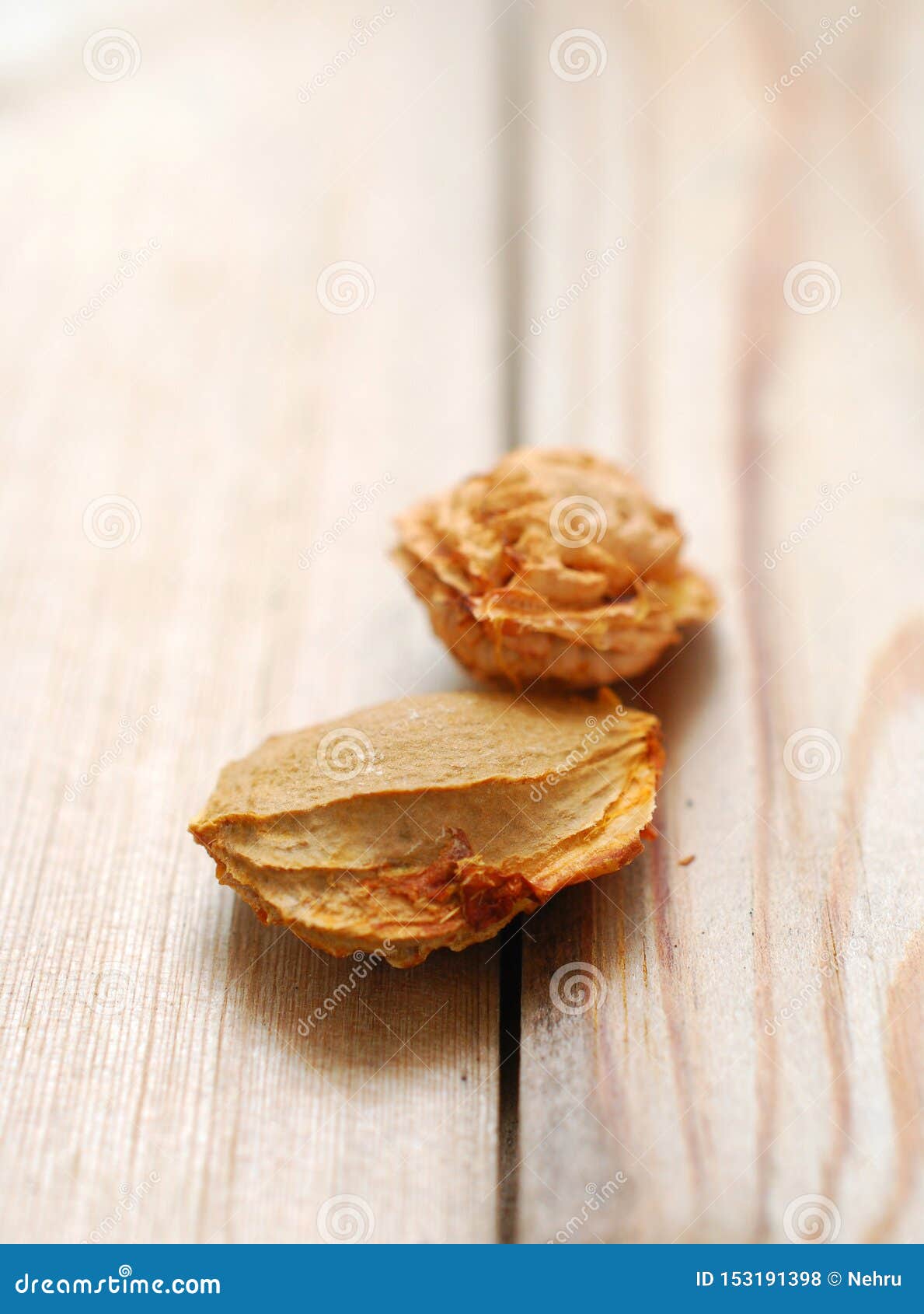 Apricot and peach kernels stock photo. Image of natural 153191398