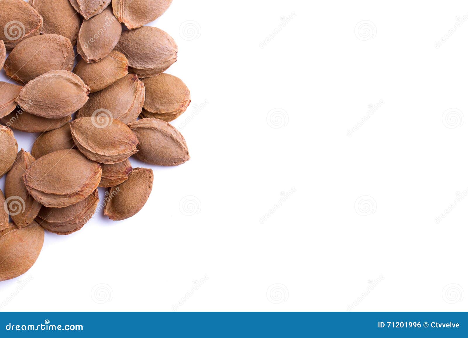 Apricot pits stock photo. Image of ingredient, apricot 71201996