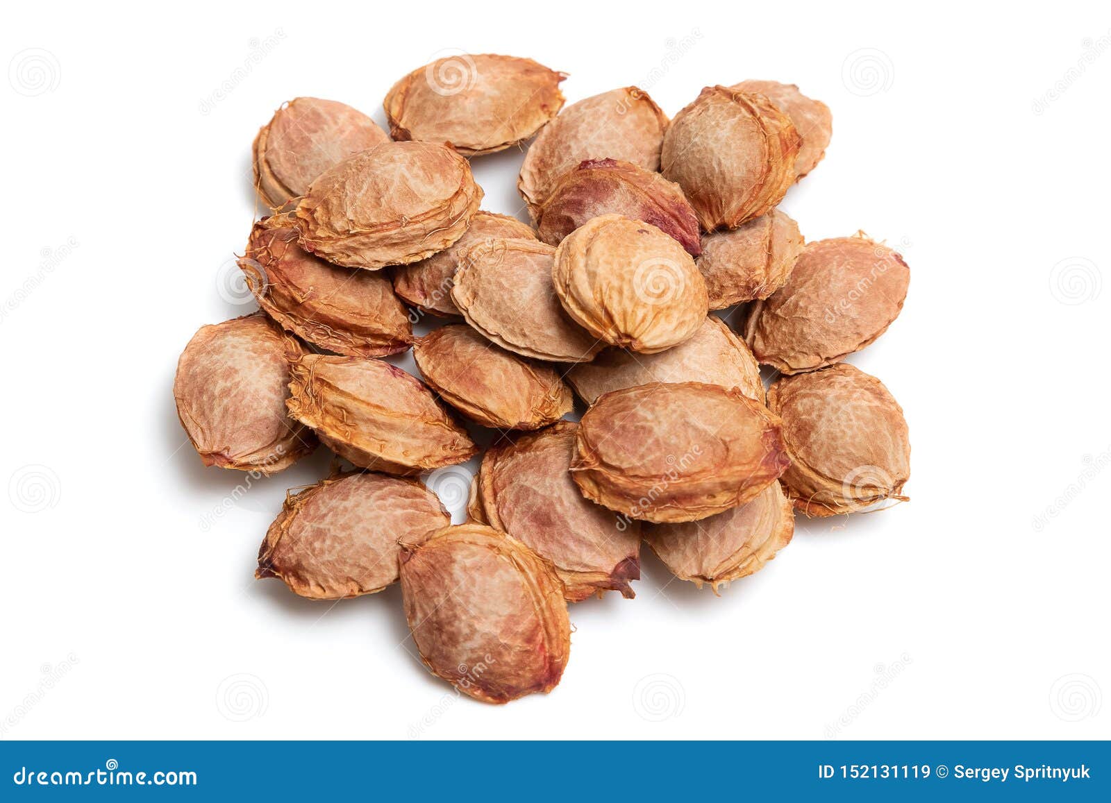 apricot pits on white  background