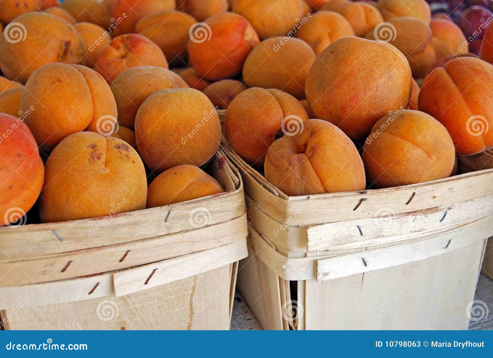 Apricot Season stock image. Image of fresh, retail, container 10798063