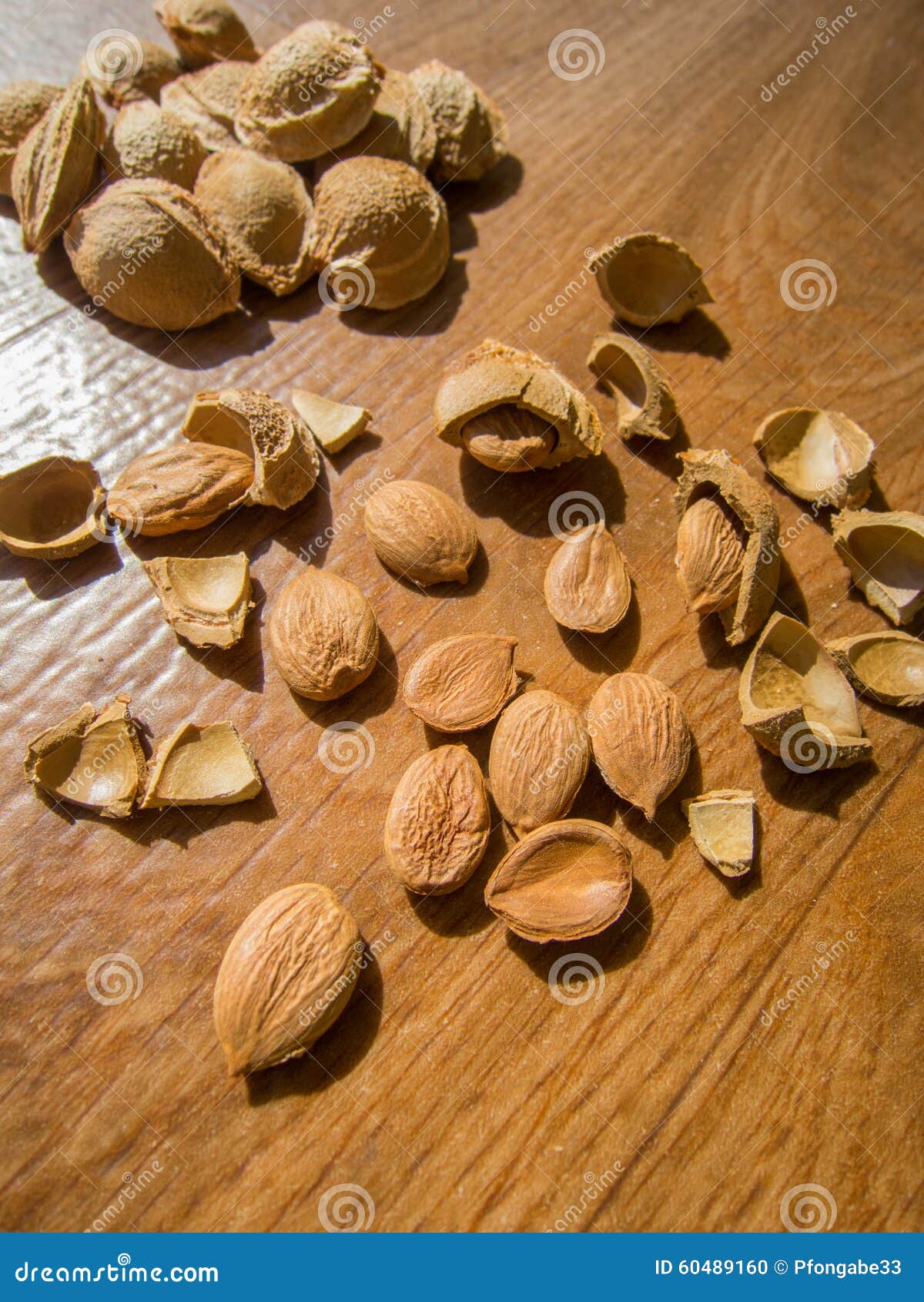 Apricot Seed and Cracked Apricot Seed Stock Photo Image of dessert