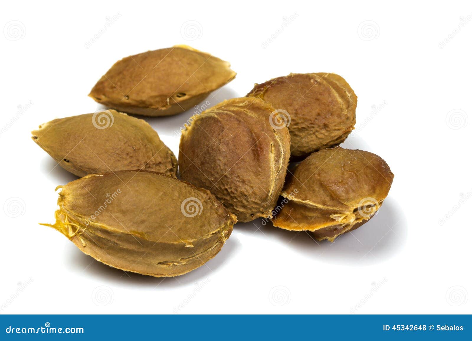 Apricot seeds stock photo. Image of peanut, cereal, snack 45342648