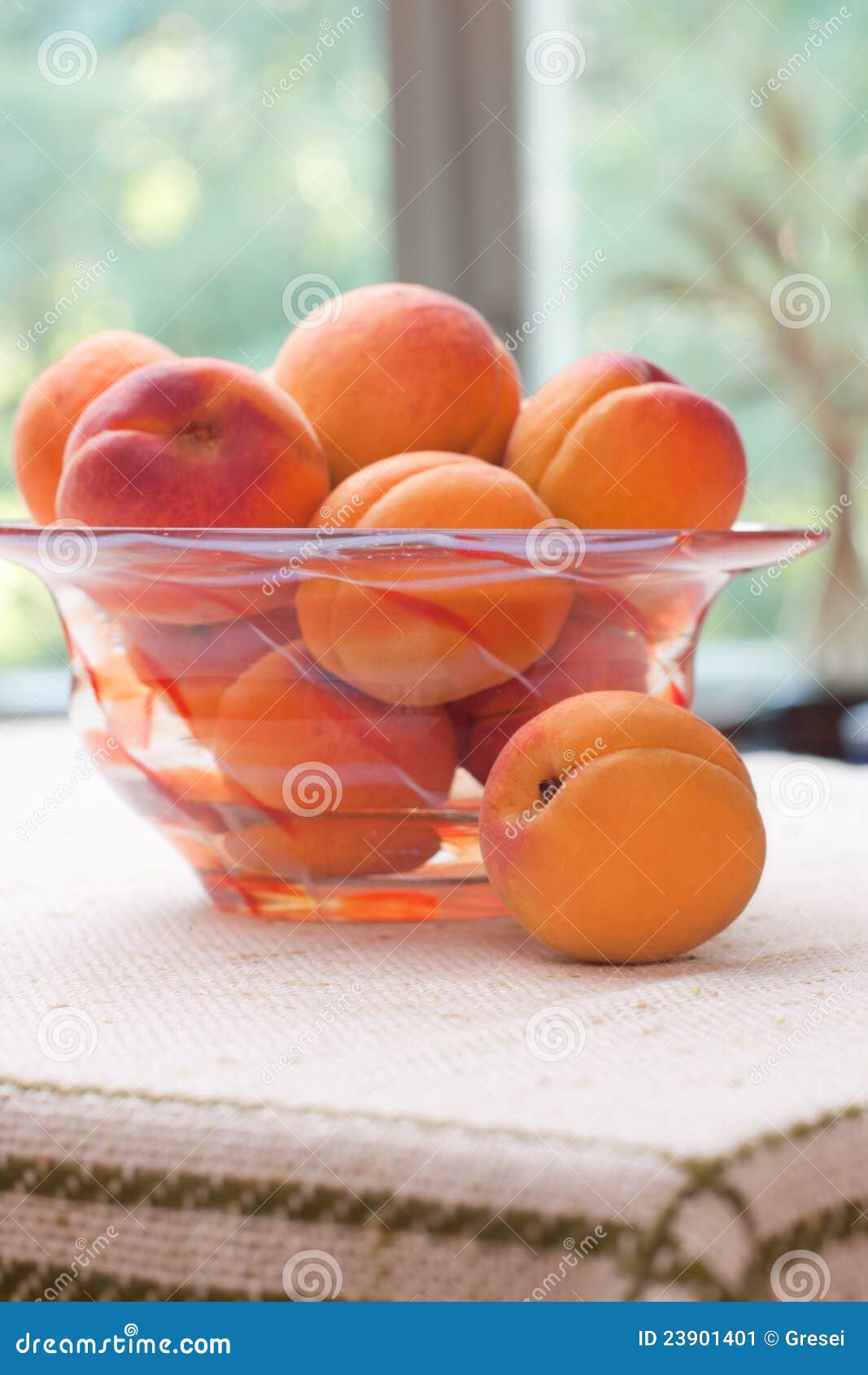 Apricots stock image. Image of juicy, sweet, eating, food - 23901401
