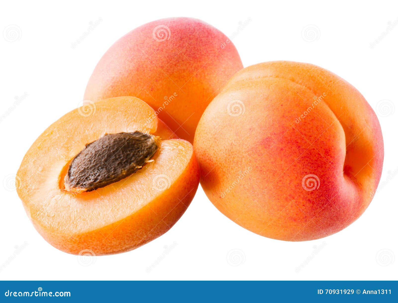 Apricots. Fruit Isolated on White Background Stock Image Image of