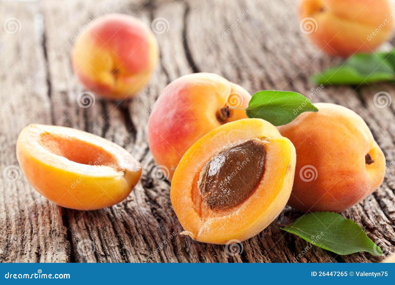 Apricots with leaves stock image. Image of minerals, nature 26447265