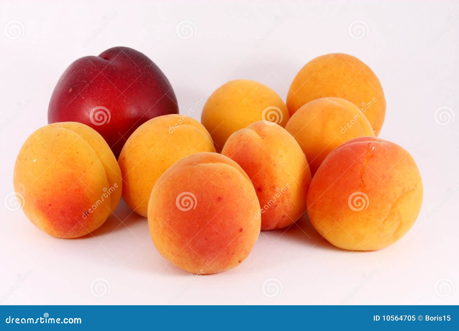 Apricots and nectarine stock image. Image of vegetarian 10564705