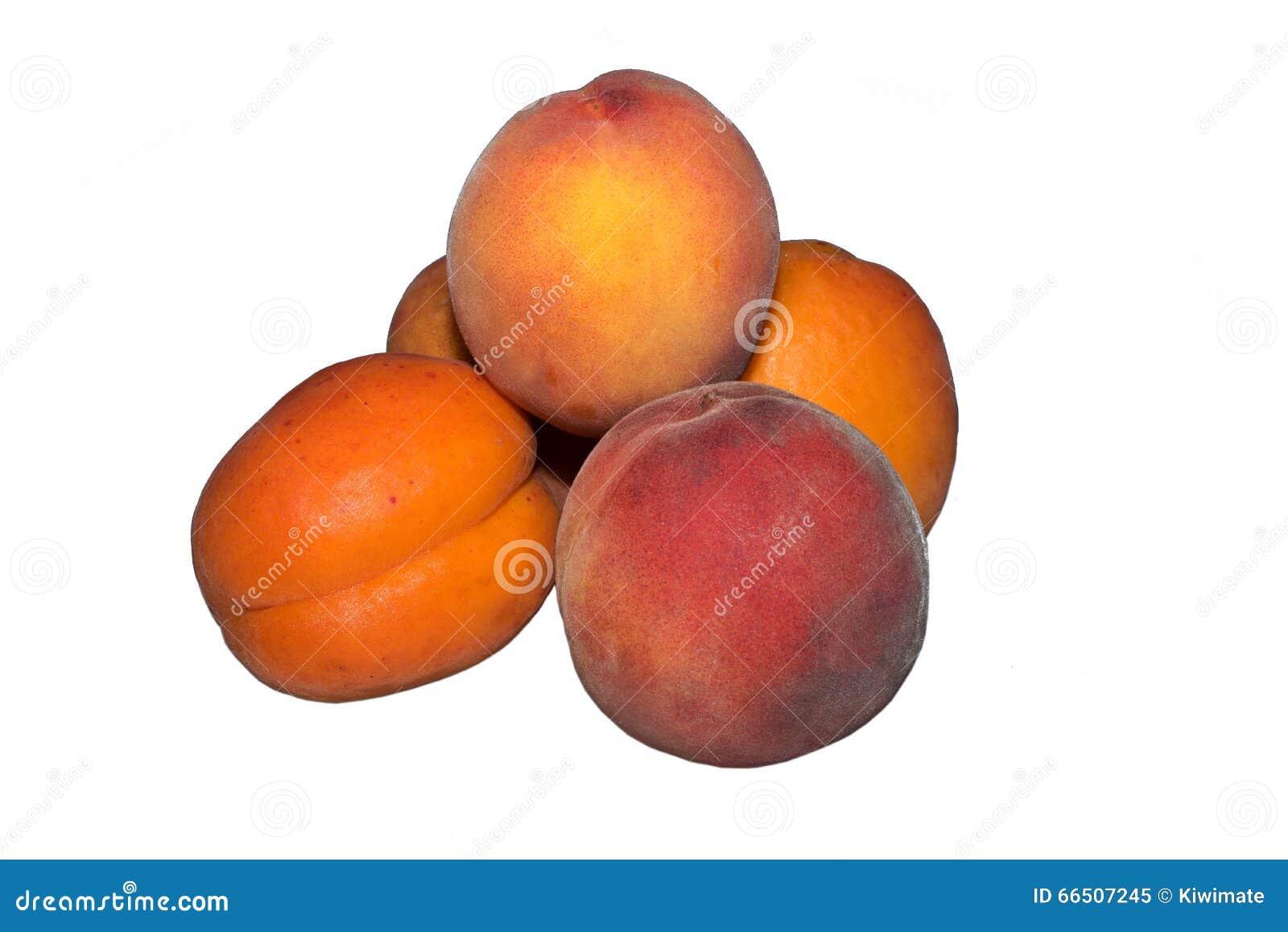 Apricots and peaches stock image. Image of vegetarian 66507245